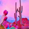 Aesthetic Sky Cactus NEW Painting by numbers