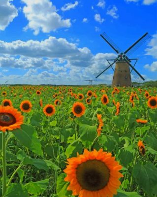 Sunflowers Field paint by numbers