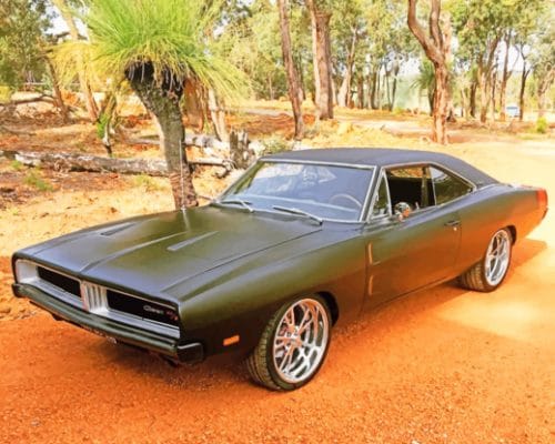 1969 Dodge Charger Matte Black pain by numbers