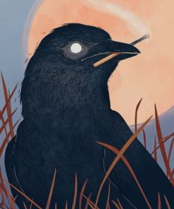 Common Raven Bird paint by numbers