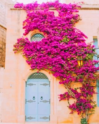 Floral Medina Gate paint by numbers