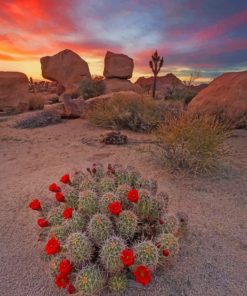 Aesthetic Cactus Plants paint by numbers