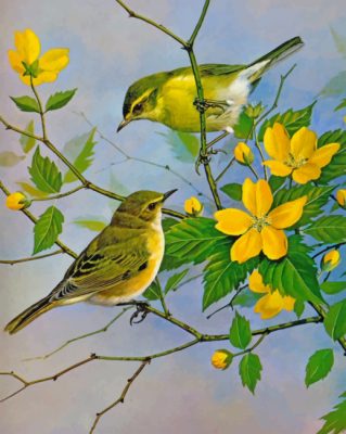 Yellow Finch Birds paint by number