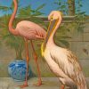 Flamingo And Pelican paint by number