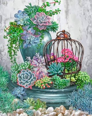 Succulent Plants Garden paint by numbers