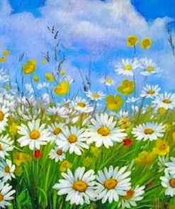Aesthetic Daisy Field Paint by numbers