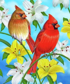 Cardinals Birds paint by numbers