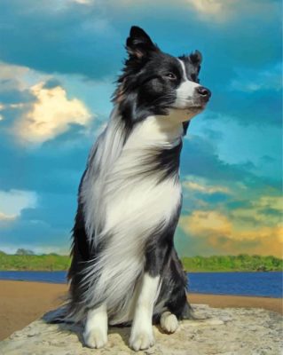 aesthetic-border-collie-dog-paint-by-number