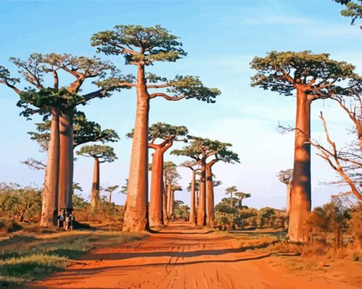 Avenue Of The Baobabs Paint by numbers