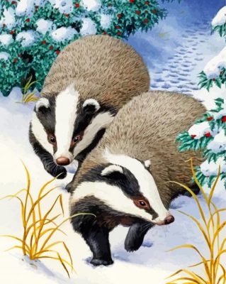 Badgers Animals In Snow Paint by numbers