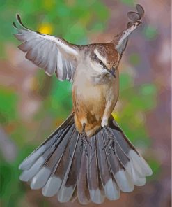 Flying Northern Mockingbird Paint by numbers