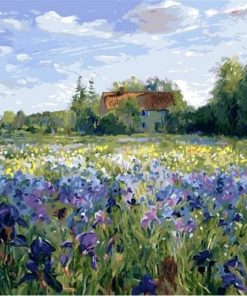 Iris Flowers Field Paint by numbers