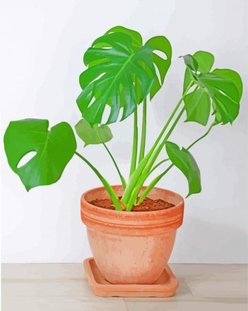 aesthetic-philodendron-paint-by-number