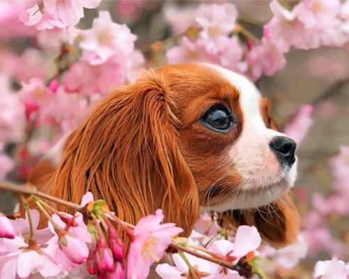 cavalier-puppy-and-blossoms-paint-by-number