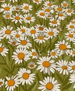 Daisy Field Illustration paint by numbers