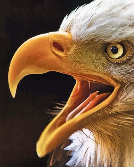 eagle-eyes-paint-by-numbers