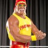 wrestler-hulk-hogan-paint-by-numbers