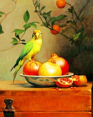 Pomegranate And Parrot paint by numbers