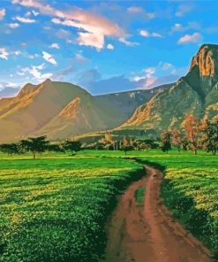 Africa Malawi Landscape paint by numbers