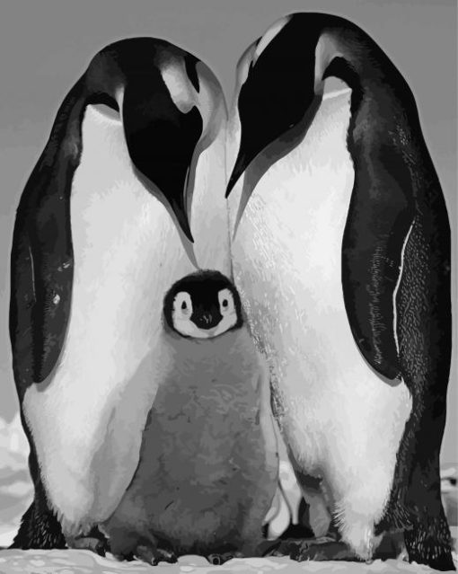 Black And White Penguins Life Paint By Numbers