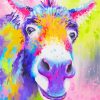 Colorful Donkey Animal Paint By Numbers