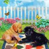 Dogs In Garden Playing Paint By Numbers