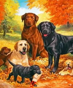 Dogs In Autumn Art Paint By Numbers