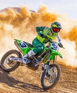 Eli Tomac Racer paint by numbers