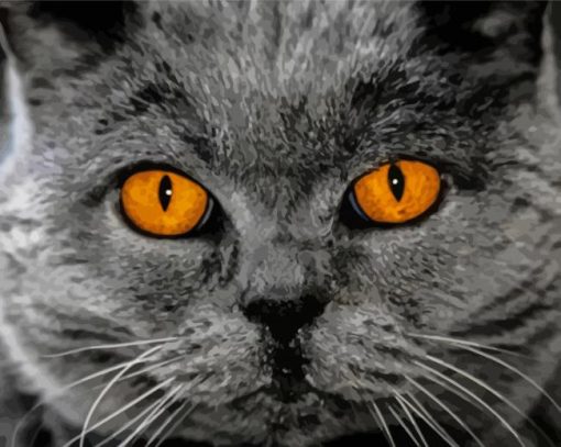 Grey Cat With Orange Eye Paint By Numbers