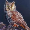 Long Eared Owl Art Paint By Numbers