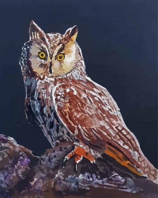 Long Eared Owl Art Paint By Numbers