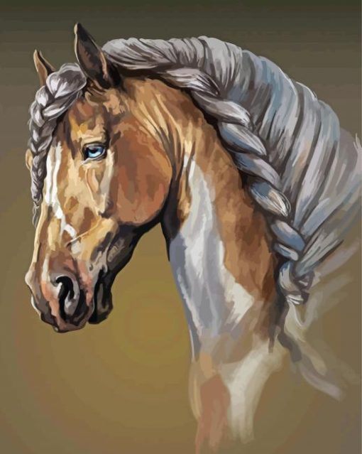 Mare Horse Head Paint By Numbers