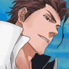 Sosuke Aizen Bleach Anime Paint By Numbers