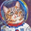 Space Cat Paint By Numbers