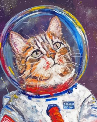 Space Cat Paint By Numbers