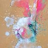 Splatter Rabbit Art Paint By Numbers