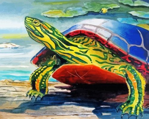 Turtle On A Log Animal Art Paint By Numbers