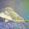 Walleye Fishing Time Art Paint By Numbers