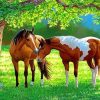 Adorable Couple Horses Art Paint By Numbers