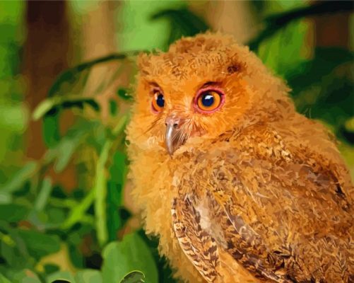 Aesthetic Philippine Scops Owl Bird Paint By Numbers