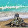 Baby Sea Turtle First Splash Paint By Numbers