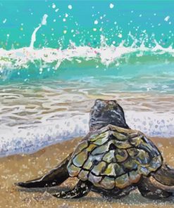 Baby Sea Turtle First Splash Paint By Numbers