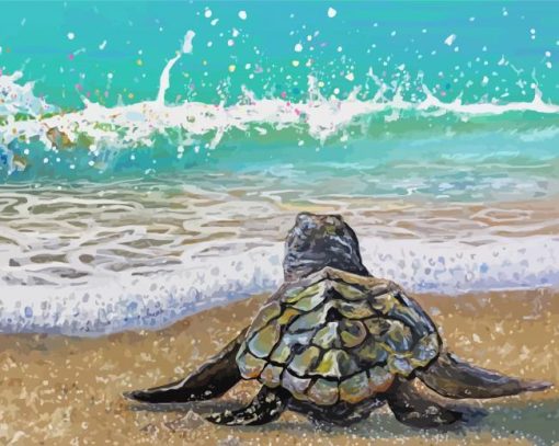 Baby Sea Turtle First Splash Paint By Numbers