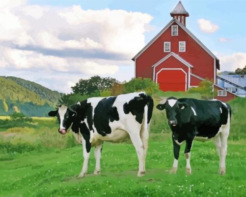 Cattle On Farm Paint By Numbers