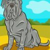 Grey Neapolitan Mastiff Paint By Numbers