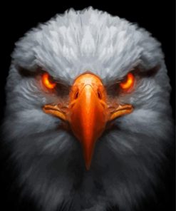 Portrait Eagle Head Paint By Numbers