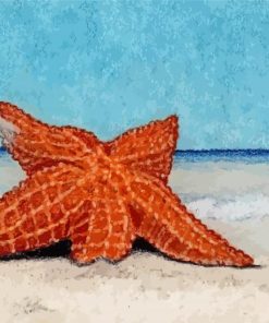 Starfish Stranded On The Beach Paint By Numbers