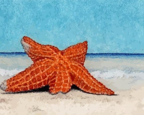 Starfish Stranded On The Beach Paint By Numbers