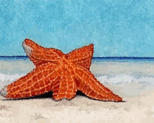 Starfish Stranded On The Beach Paint By Numbers