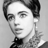 Actress Edie Sedgwick Paint By Numbers